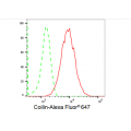 LifeSab™ Coilin Rabbit mAb (20 μl)