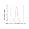 LifeSab™ Phospho-EGFR (Y1068) Rabbit mAb (20 μl)
