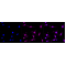 LifeSab™ Band 3/CD233 Rabbit mAb (20 μl)