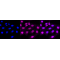LifeSab™ SLC31A1 Rabbit mAb (20 μl)