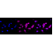 LifeSab™ SPOP Rabbit mAb (20 μl)