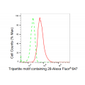 LifeSab™ TRIM28 Rabbit mAb (20 μl)