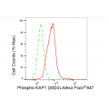 LifeSab™ Phospho-KAP1 (S824) Rabbit mAb (20 μl)