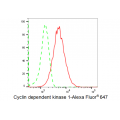LifeSab™ CDK1 Rabbit mAb (20 μl)