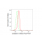 LifeSab™ SYN2 Rabbit mAb (20 μl)