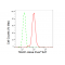LifeSab™ TBLR1 Rabbit mAb (20 μl)