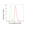 LifeSab™ YWHAB Rabbit mAb (20 μl)