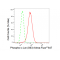 LifeSab™ Phospho-c-Jun (S63) Rabbit mAb (20 μl)