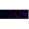 LifeSab™ Phospho-c-Jun (S63) Rabbit mAb (20 μl)