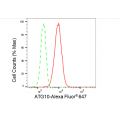 LifeSab™ ATG10 Rabbit mAb (20 μl)