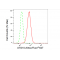 LifeSab™ ATG10 Rabbit mAb (20 μl)