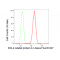 LifeSab™ BCL2A1 Rabbit mAb (20 μl)