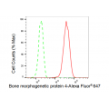 LifeSab™ BMP4 Rabbit mAb (20 μl)