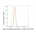 LifeSab™ BMP7 Rabbit mAb (20 μl)