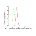 LifeSab™ BNIP1 Rabbit mAb (20 μl)