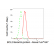 LifeSab™ BNIP1 Rabbit mAb (20 μl)