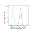 LifeSab™ ATP5A1 Rabbit mAb (20 μl)