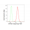 LifeSab™ ATP5A1 Rabbit mAb (20 μl)