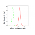 LifeSab™ ARNTL Rabbit mAb (20 μl)