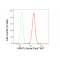 LifeSab™ ARNTL Rabbit mAb (20 μl)