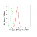 LifeSab™ CAV2 Rabbit mAb (20 μl)