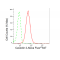 LifeSab™ CAV2 Rabbit mAb (20 μl)
