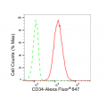 LifeSab™ CD34 Rabbit mAb (20 μl)