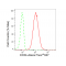 LifeSab™ CD34 Rabbit mAb (20 μl)
