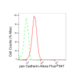 LifeSab™ CDH1 Rabbit mAb (20 μl)