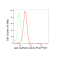 LifeSab™ CDH1 Rabbit mAb (20 μl)