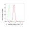 LifeSab™ CDH4 Rabbit mAb (20 μl)