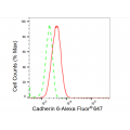 LifeSab™ CDH6 Rabbit mAb (20 μl)