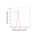 LifeSab™ VPS24 Rabbit mAb (20 μl)