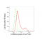 LifeSab™ CHRNA4 Rabbit mAb (20 μl)