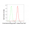LifeSab™ CTBP1 Rabbit mAb (20 μl)