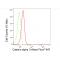 LifeSab™ CTNNA3 Rabbit mAb (20 μl)