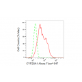 LifeSab™ CYP26A1 Rabbit mAb (20 μl)