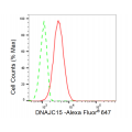 LifeSab™ DNAJC15 Rabbit mAb (20 μl)