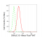 LifeSab™ DNAJC15 Rabbit mAb (20 μl)