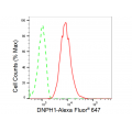 LifeSab™ DNPH1 Rabbit mAb (20 μl)