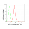 LifeSab™ DNPH1 Rabbit mAb (20 μl)