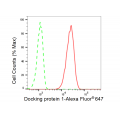 LifeSab™ DOK1 Rabbit mAb (20 μl)