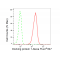 LifeSab™ DOK1 Rabbit mAb (20 μl)