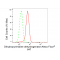 LifeSab™ DPYD Rabbit mAb (20 μl)