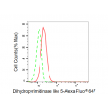 LifeSab™ DPYSL5 Rabbit mAb (20 μl)