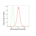 LifeSab™ DSTN Rabbit mAb (20 μl)