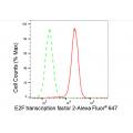 LifeSab™ E2F2 Rabbit mAb (20 μl)