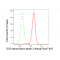 LifeSab™ E2F2 Rabbit mAb (20 μl)