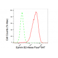 LifeSab™ EFNB2 Rabbit mAb (20 μl)