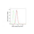 LifeSab™ EHD1 Rabbit mAb (20 μl)